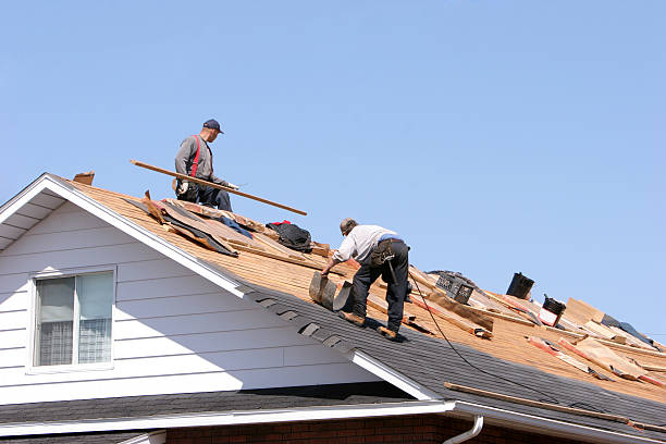 Best Skylight Installation and Repair  in Jesup, GA